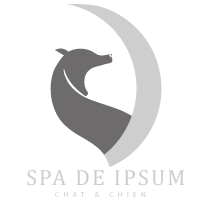 logo spa blanc