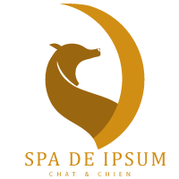 logo spa orange