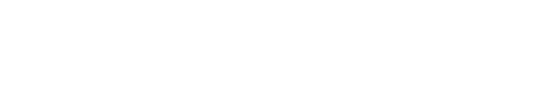 logo Stelo white