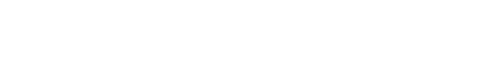 logo typo stelo white